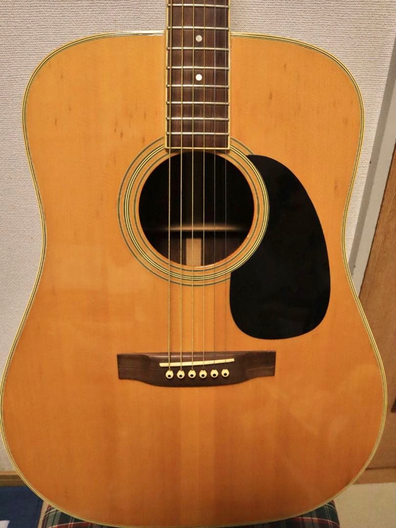 Elite Takamine TW-25 アコースティックギター