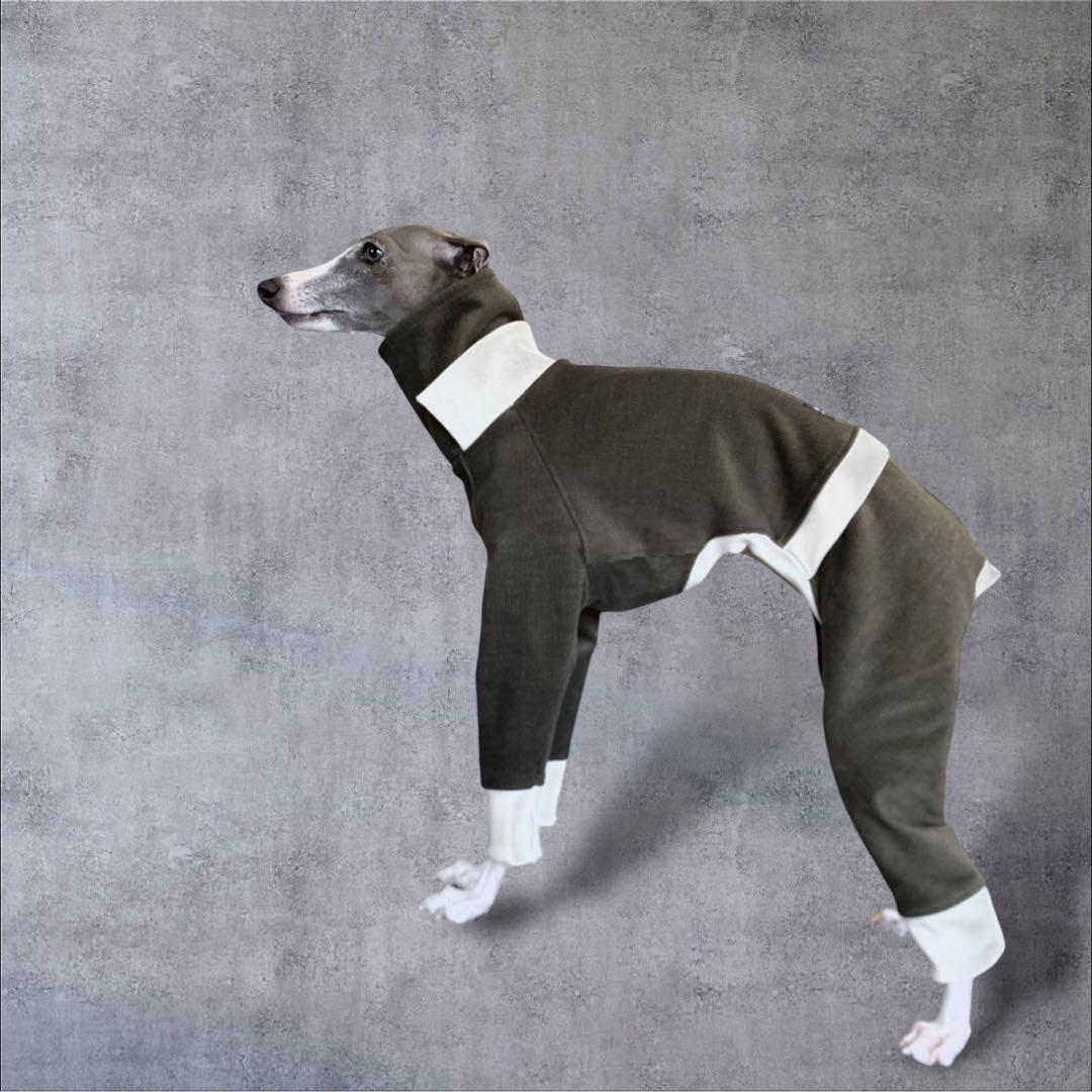 ⑪コーデュロイ イン パリ