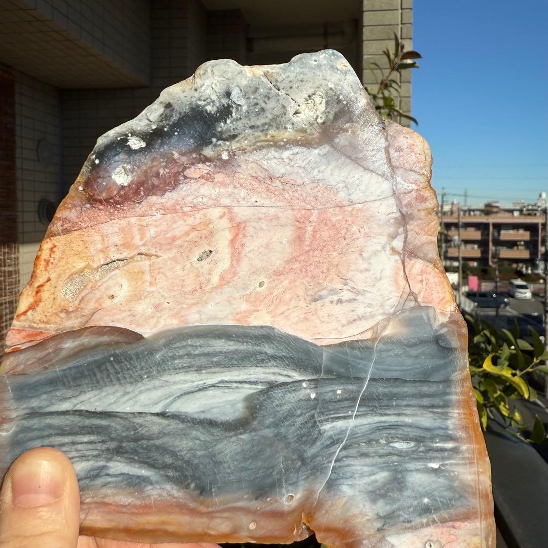 高品質　ペトリファイドウッド　520g プレート　底面磨き　台座付き　珪化木②