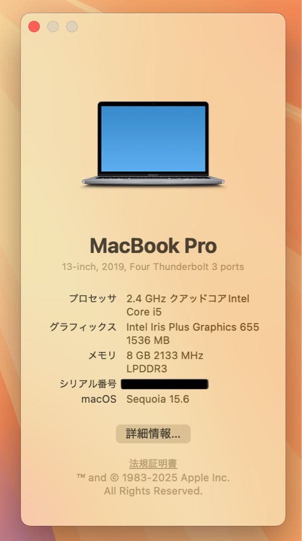 【即日発送】Macbook PRO 2019 スペースグレー バッテリー良好