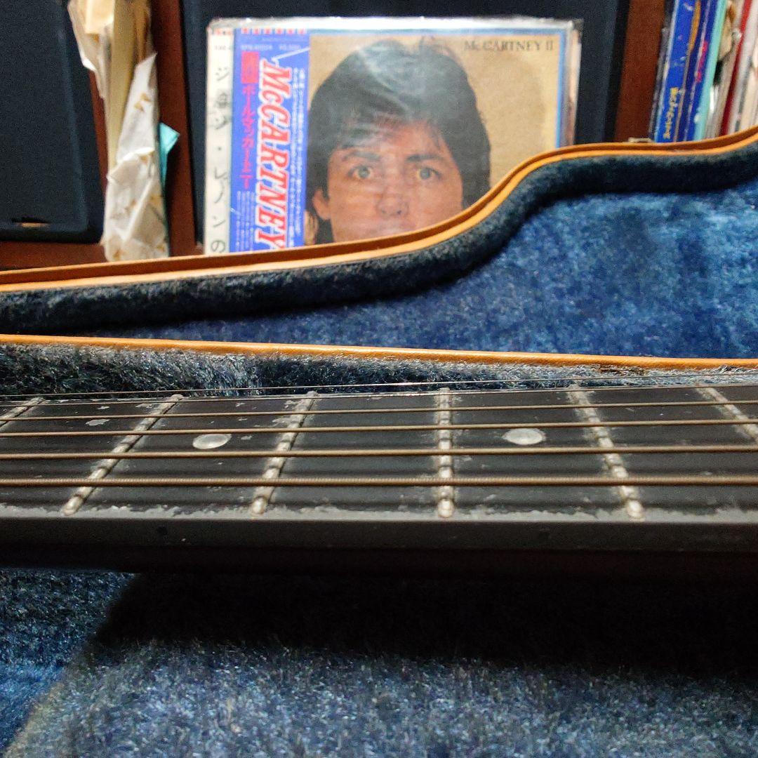 applause アコースティックギター サンバースト