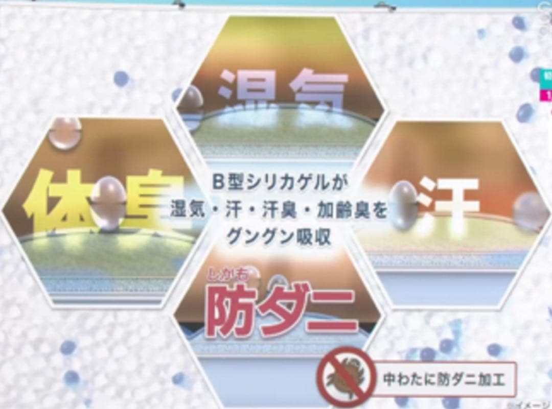 篠原化学【マジカルドライ】コットン×シルク生地使用 除湿消臭敷きパッド　ダブル