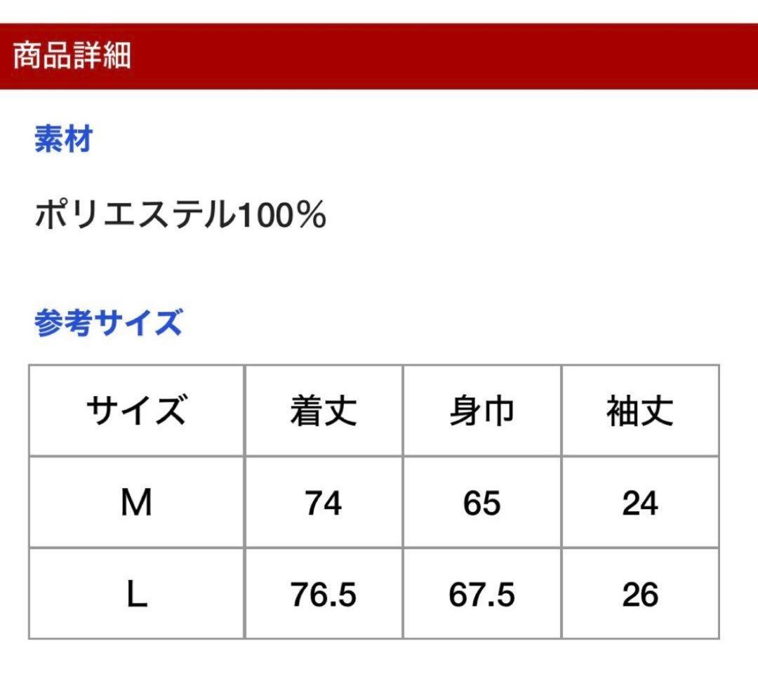 カープ　2026 アメフト風Tシャツ　Lサイズ 菊池涼介
