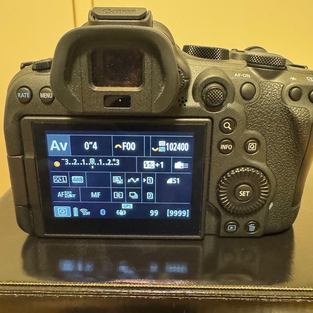 【美品】Canon EOS R6 Mark II 本体　ショット数約3,000枚