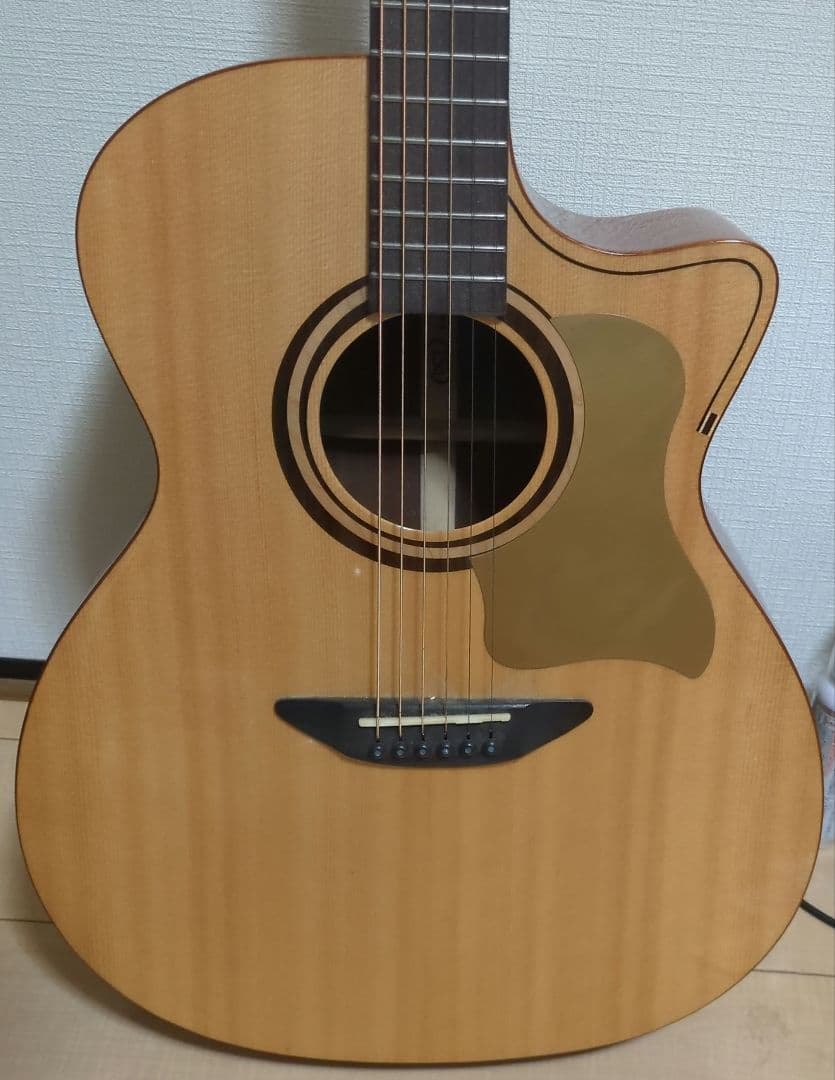 ギター DCT G-311 CE