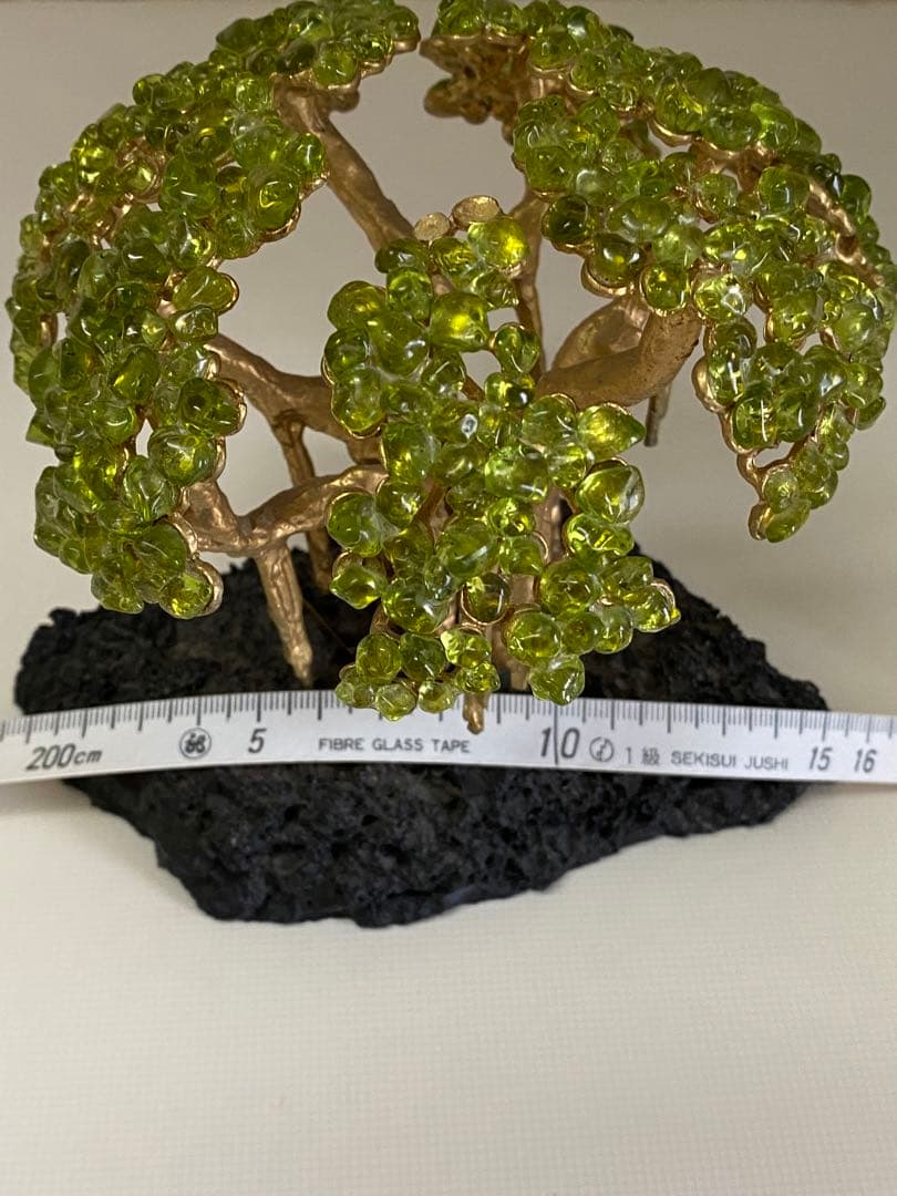 ハワイの宝石ペリドット　ハワイ島の神秘の宝石の木　ペリドットの木　モンキーポッド