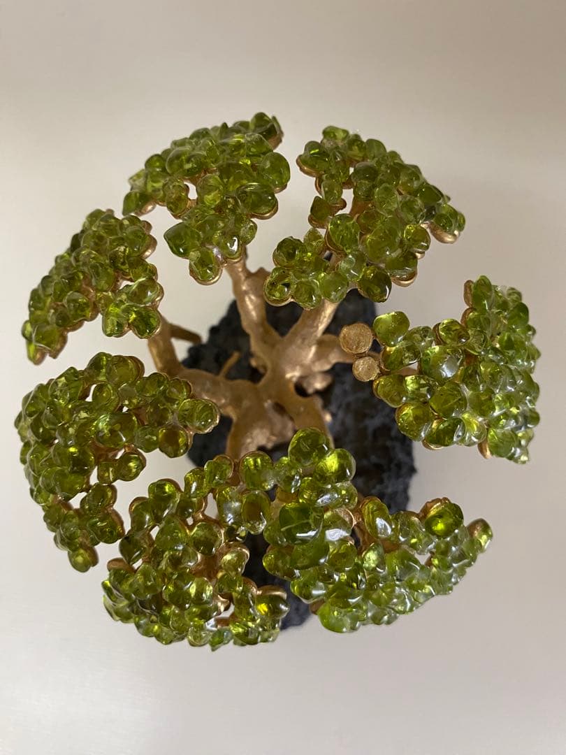 ハワイの宝石ペリドット　ハワイ島の神秘の宝石の木　ペリドットの木　モンキーポッド