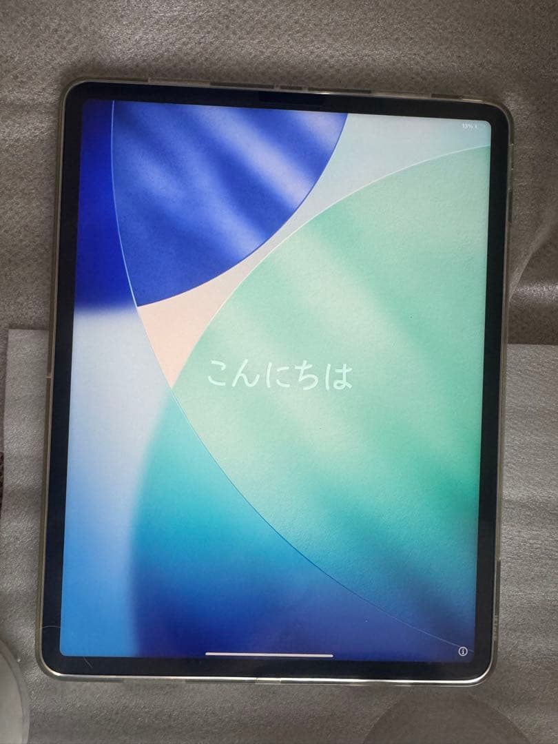 Apple iPad Pro 第5世代 256GB wifi シルバー 12.9