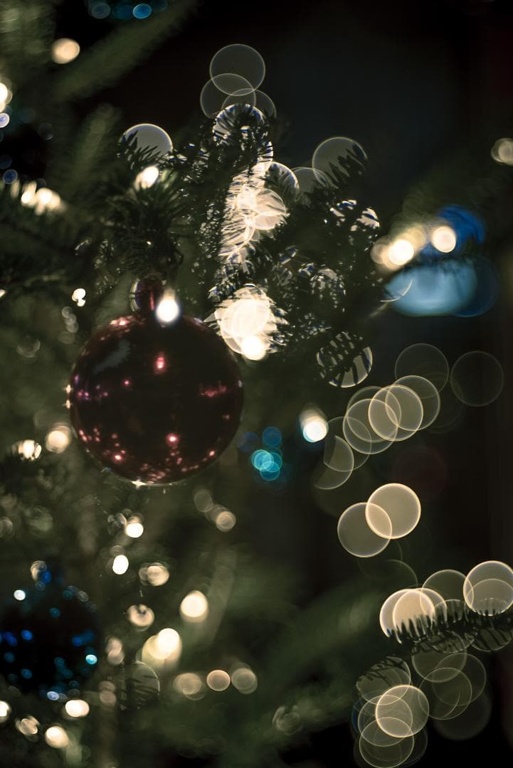 美品！イルミにバブルボケ！Trioplan 100mm F2.8 SONY用