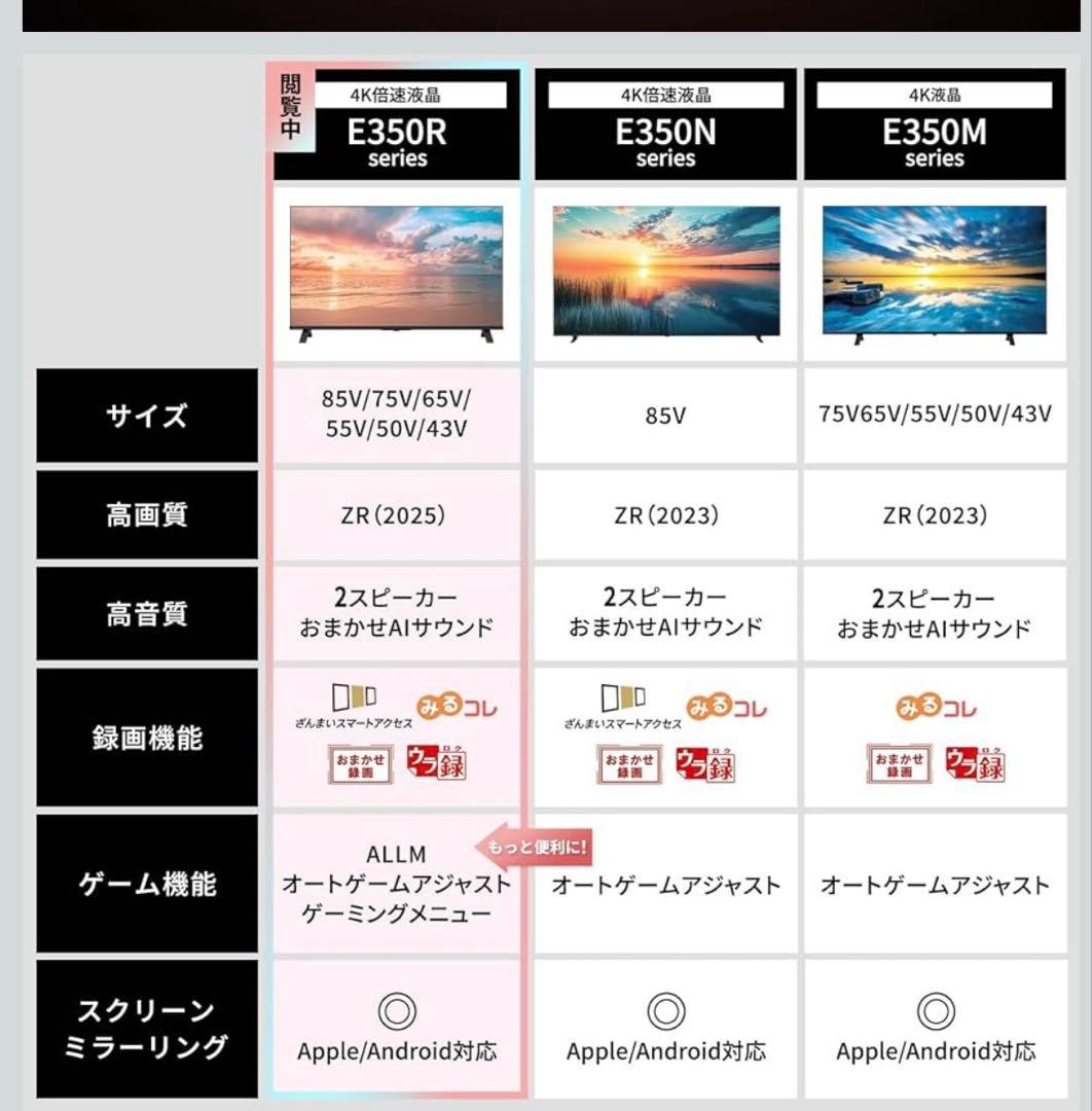 REGZA レグザ テレビ 65E350R 2025年モデル