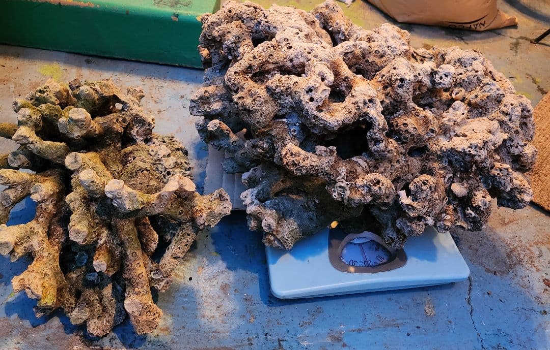 ライブロック　2点　迫力満点　引き取り大分市