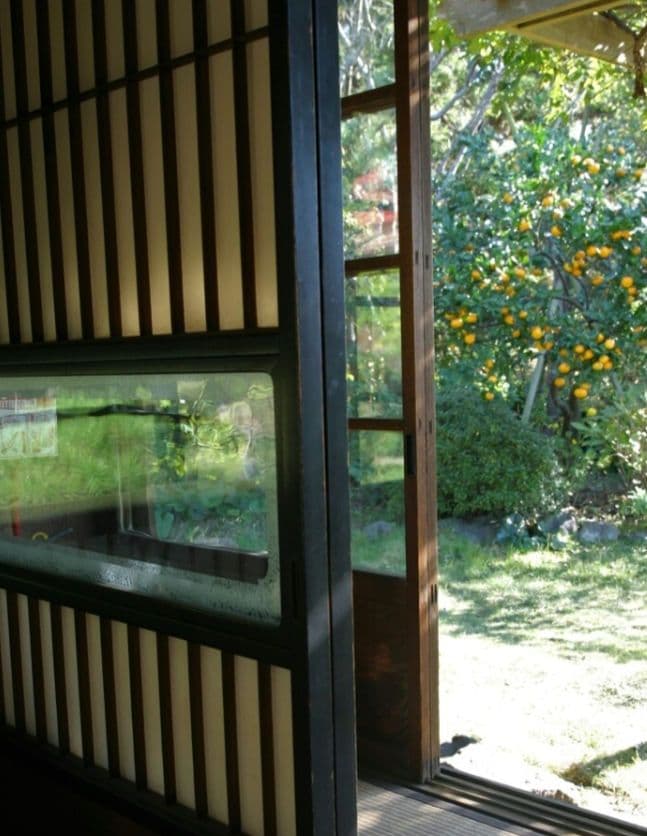 CANON　EOS　10D　初心者デビュー　キャノン　一眼レフ　広角から中望遠