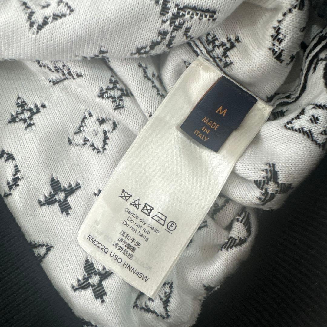 LOUIS VUITTON グラデーションフード付きニット　Mサイズ