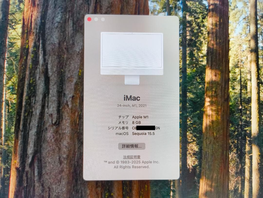 S*E様 iMac m1 メモリ8GB SSD 256GB 24インチ シルバー