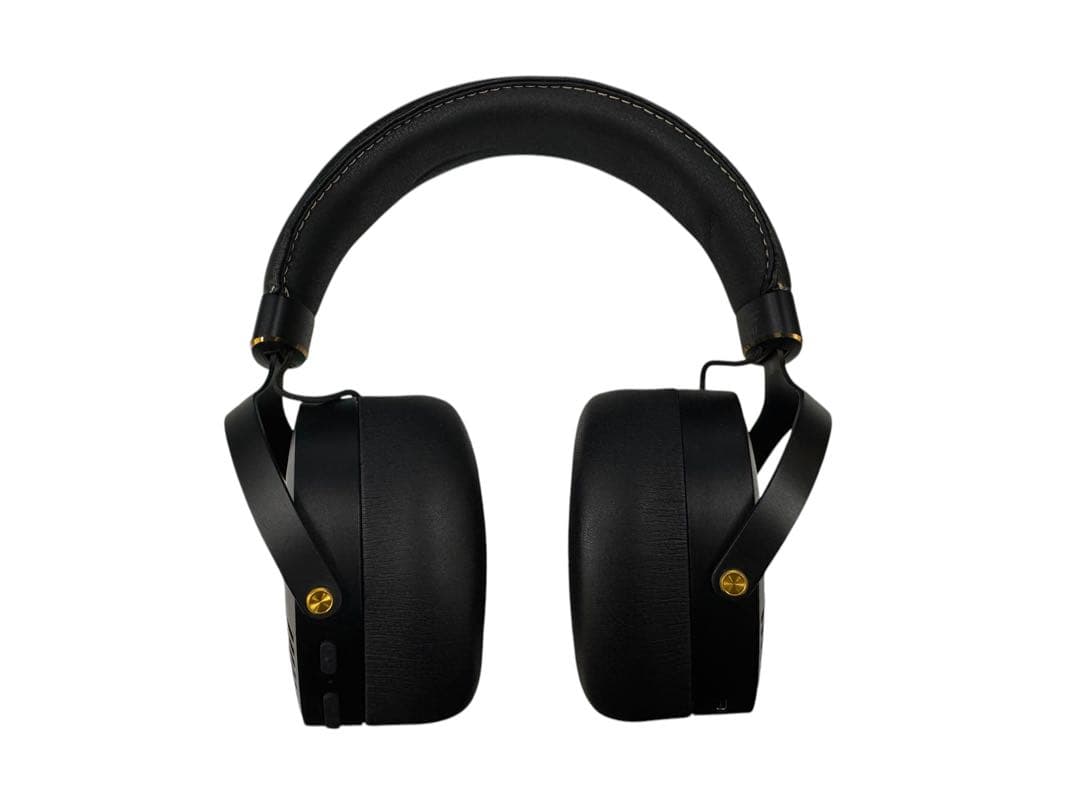 AVIOT WA-Z1PNK ピエール中野コラボモデル ピッドホン