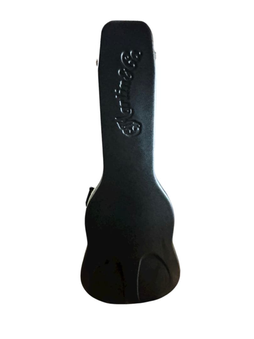 Martin & Co. DXM Dreadnought アコースティックギター