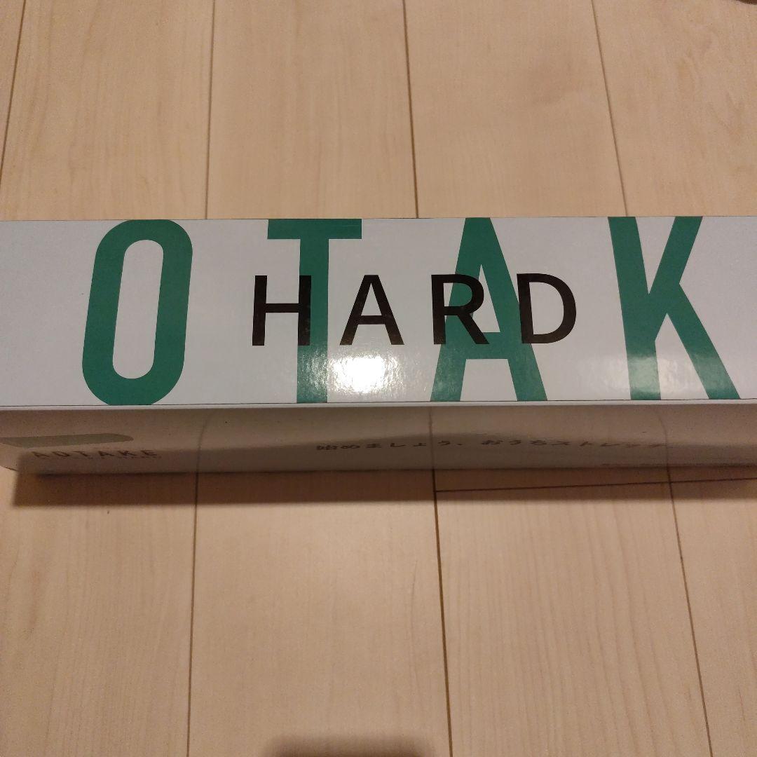 全健会　あおたけ　ハード　運動まくら