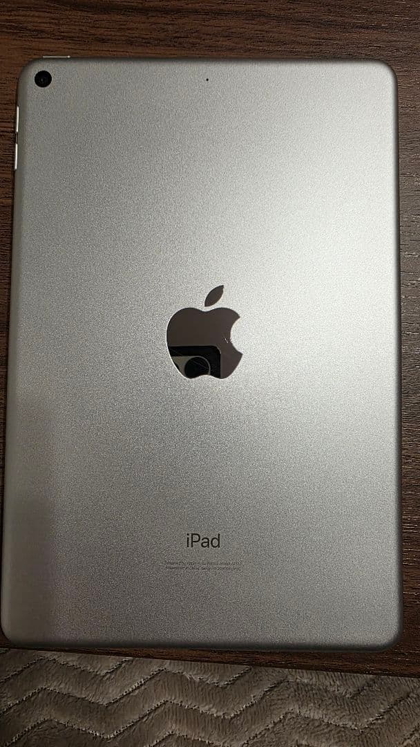 Apple iPad mini (第５世代) Wi-Fi 256GB シルバー