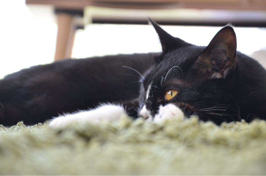 【訳あり】Nikon D7000 18-105 VR キット ニコン 一眼