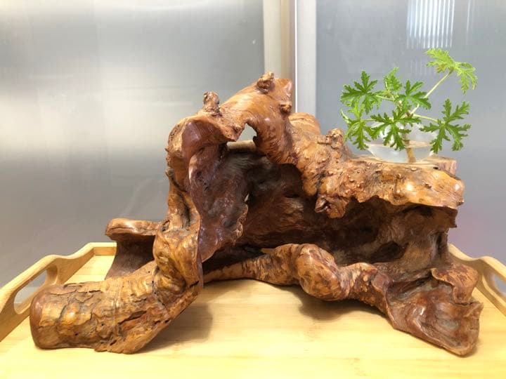 週末Sale❣️木の根置物