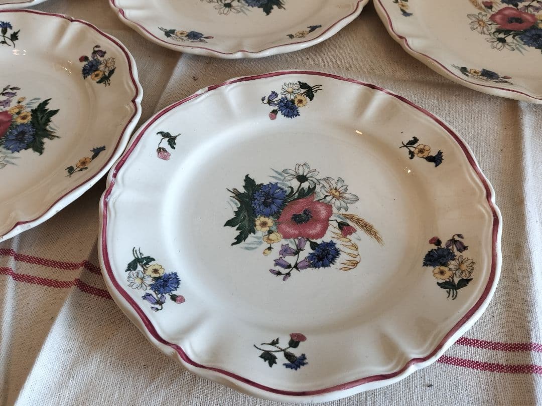 アンティーク　フランス　サルグミンヌ　アグレストデザート皿　5枚セット　19cm