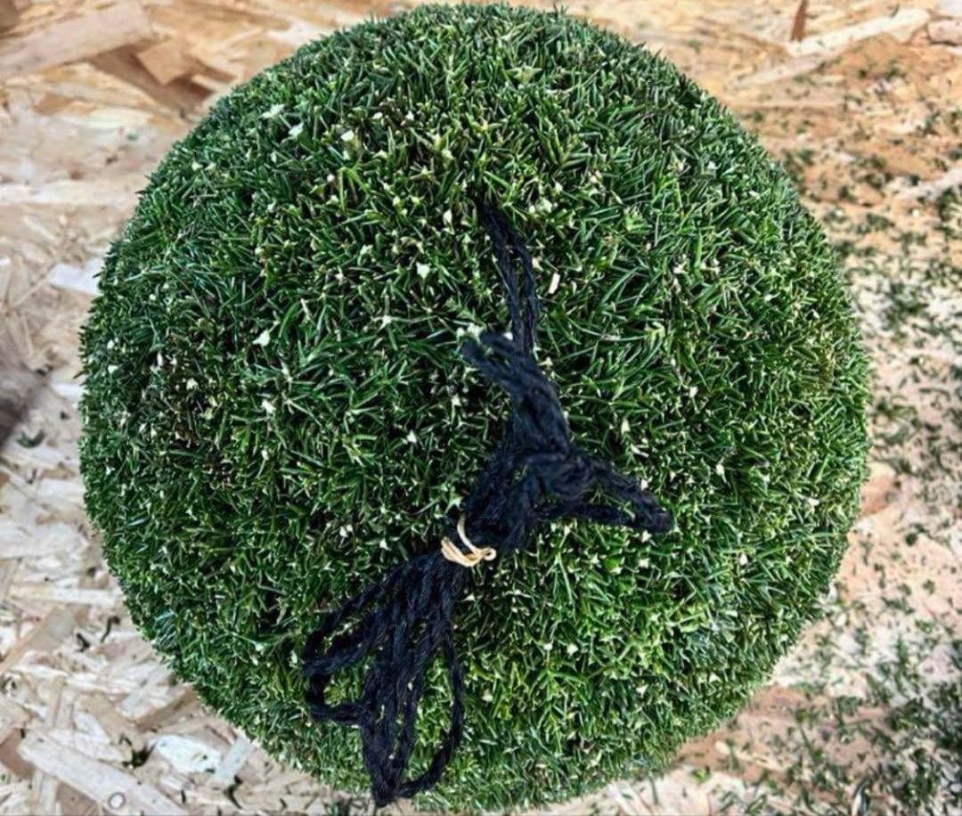 杉玉　約35センチ ‼️お客様ご注文品♪