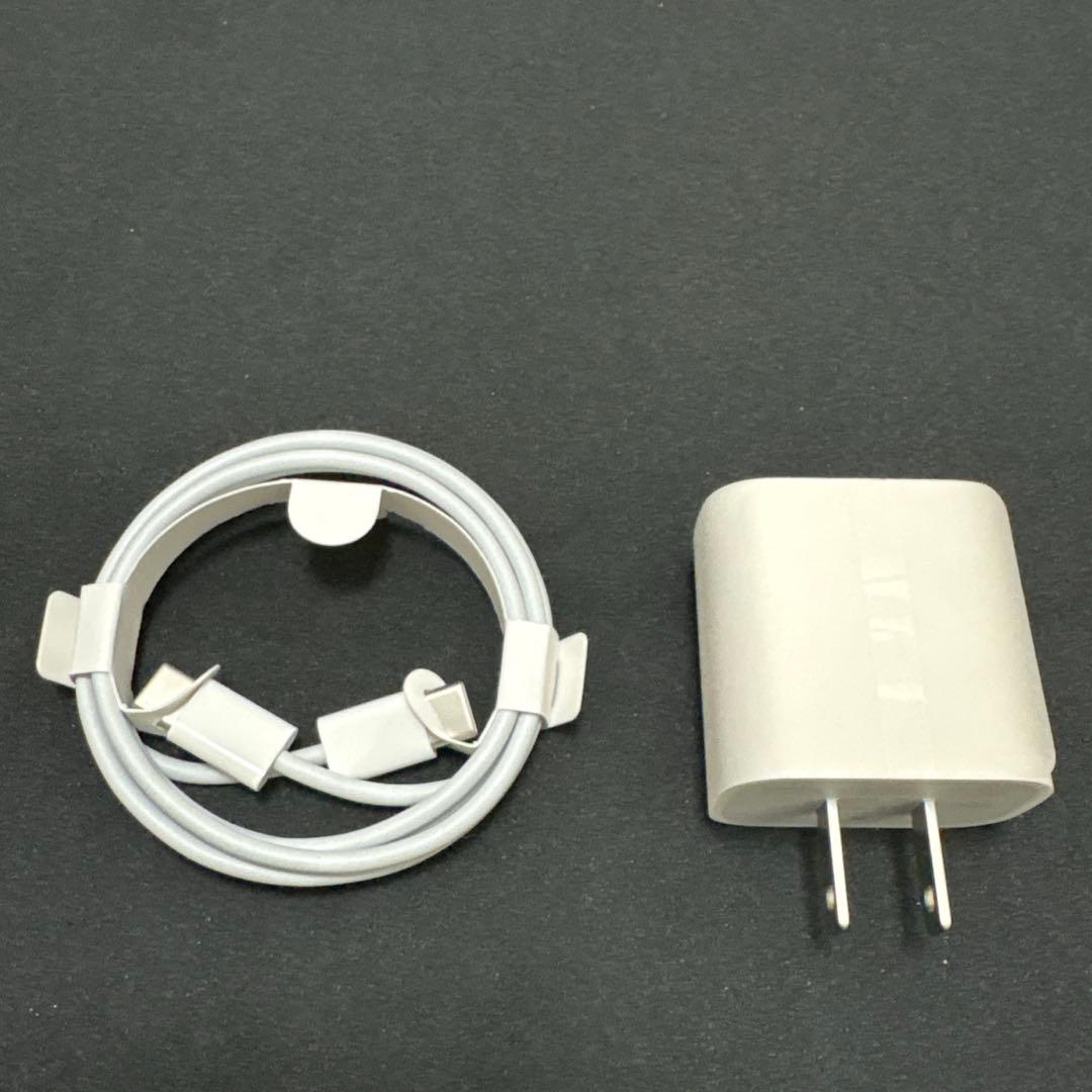 iPad mini A17pro 256GB セルラー 【アメリカ版】