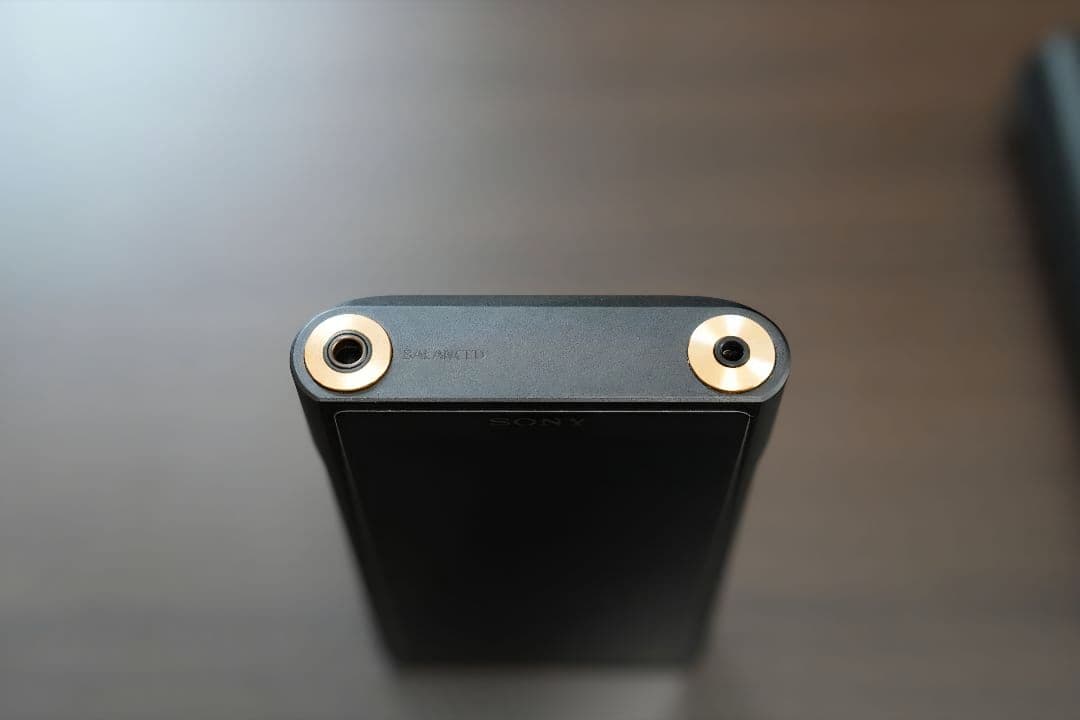 SONY NW-WM1AM2 ケース付✨️美品✨️512GB microSD付