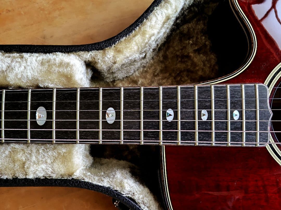 ナルト【美品】タカミネ NPT115　杢目ワインレッド