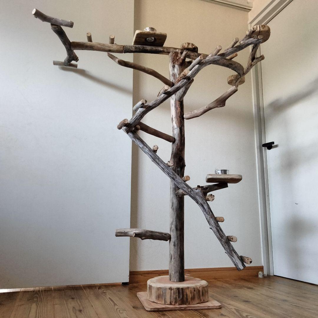 はな バードアスレチックジム ㊽ 天然木 自然木 止まり木 インコ オウム