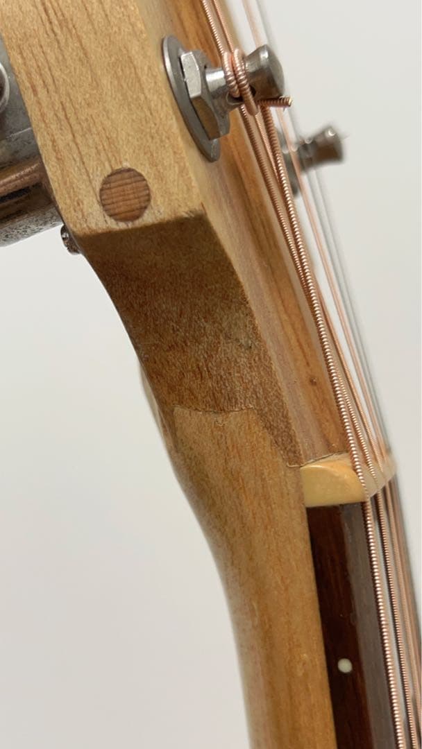 Cole Clark FL2AC3 BM 3WayPU コールクラーク