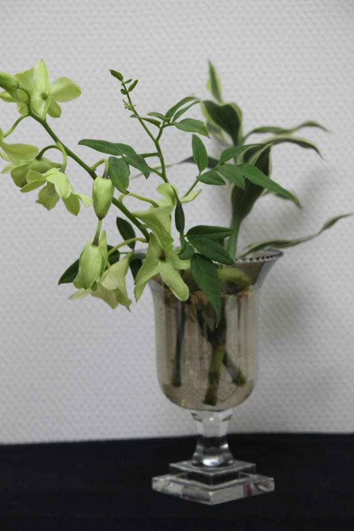 【レンズ４本セット】Canon EOS デジタル一眼レフカメラ Kiss X5