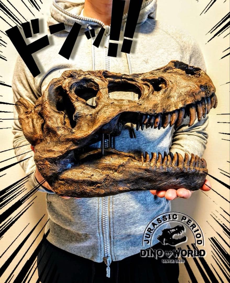 ティラノサウルス インテリアオブジェ 雑貨 置物 恐竜の化石 ジュラシックパーク