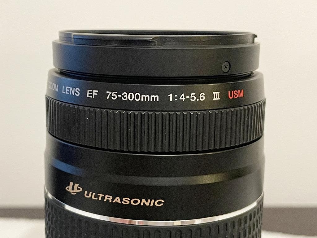 レンズ(ズーム) CANON EF75-300mm F4-5.6 III USM