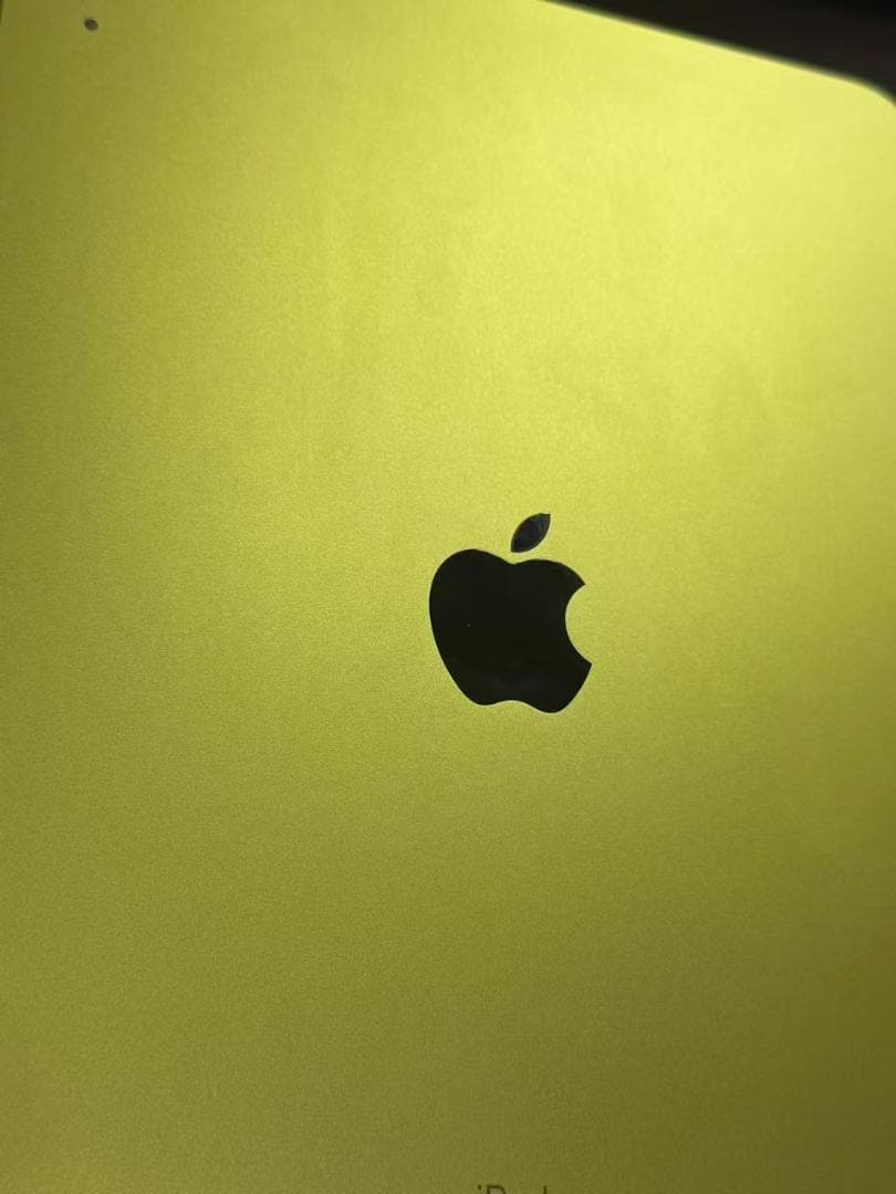 iPad 第10世代　256GB WiFi　美品