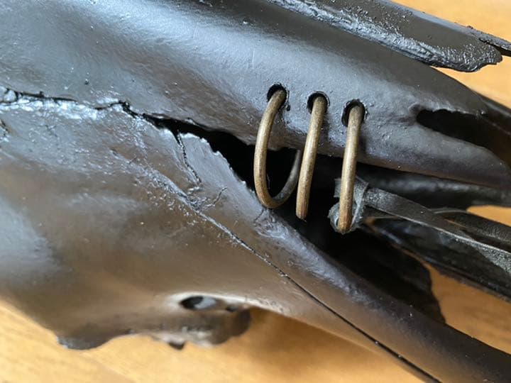 テキサスロングホーン