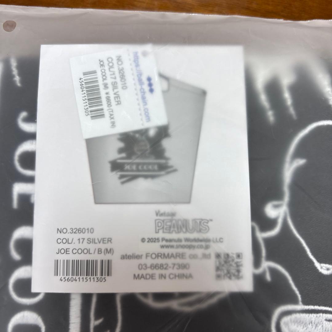 名古屋限定　ボールアンドチェーン　ピーナッツ　スヌーピー　シルバー