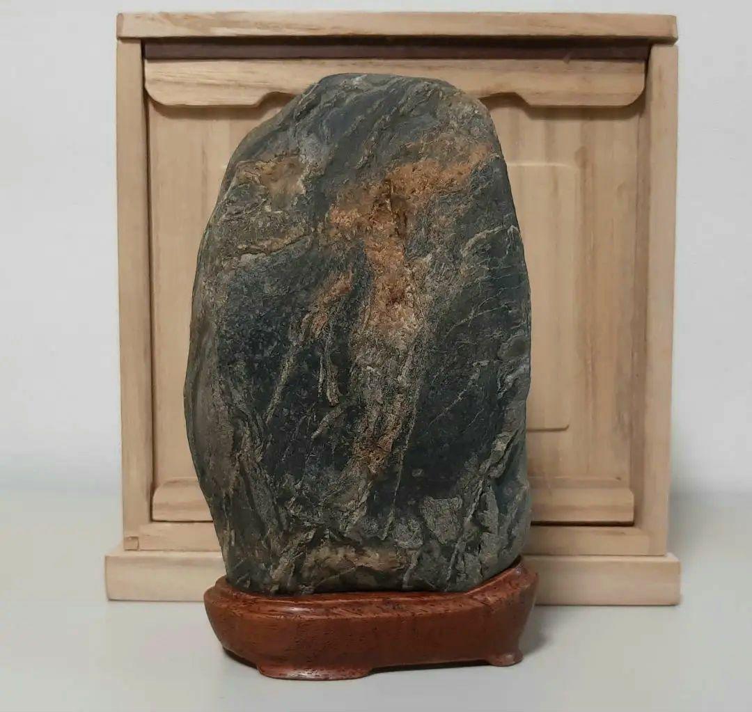 縁起石　鯉の滝登り　立身出世　箱付き　登竜門　水石　紋様石