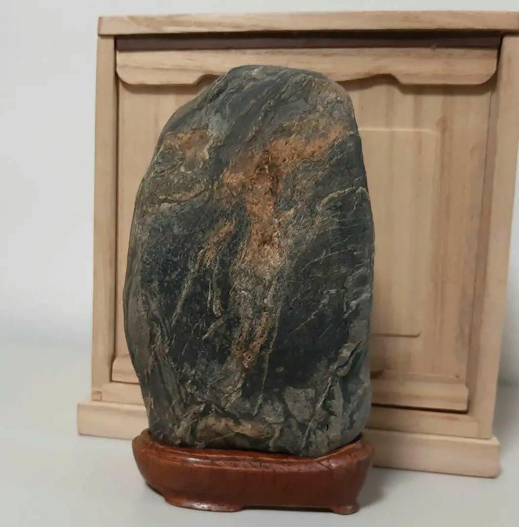 縁起石　鯉の滝登り　立身出世　箱付き　登竜門　水石　紋様石