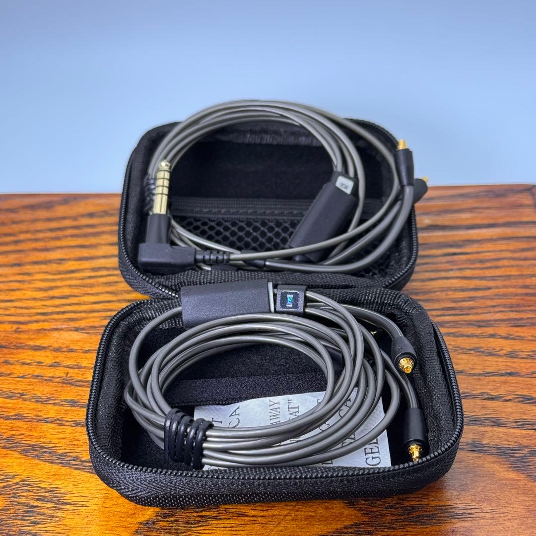 Sennheiser IE 600 ハイエンド有線イヤホン 付属品完備 2024