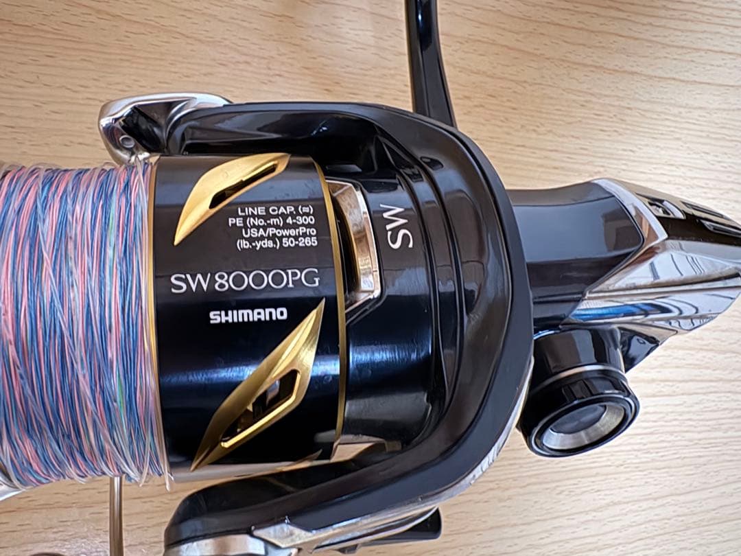シマノ　19ステラ　SHIMANO STELLA SW8000PG