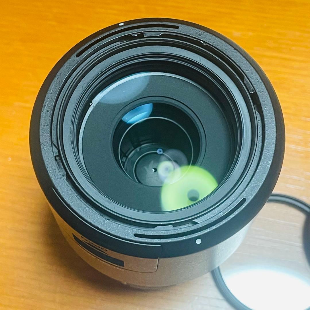 PENTAX HD DA 55-300mm F4-5.8 ED WR 実用良品