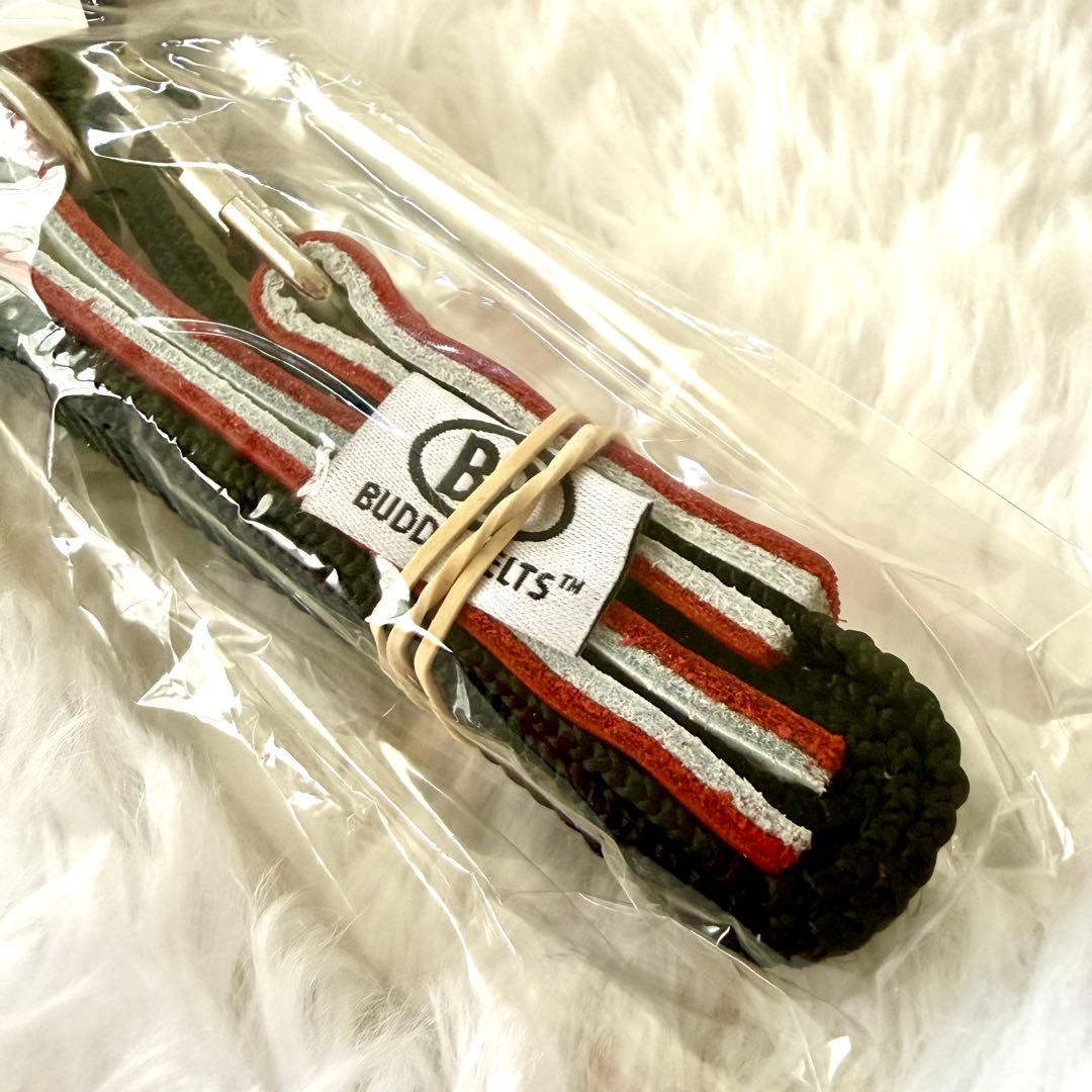 [新品] BBベルト 2.5号 ハーネス+リード セット　 *レッド