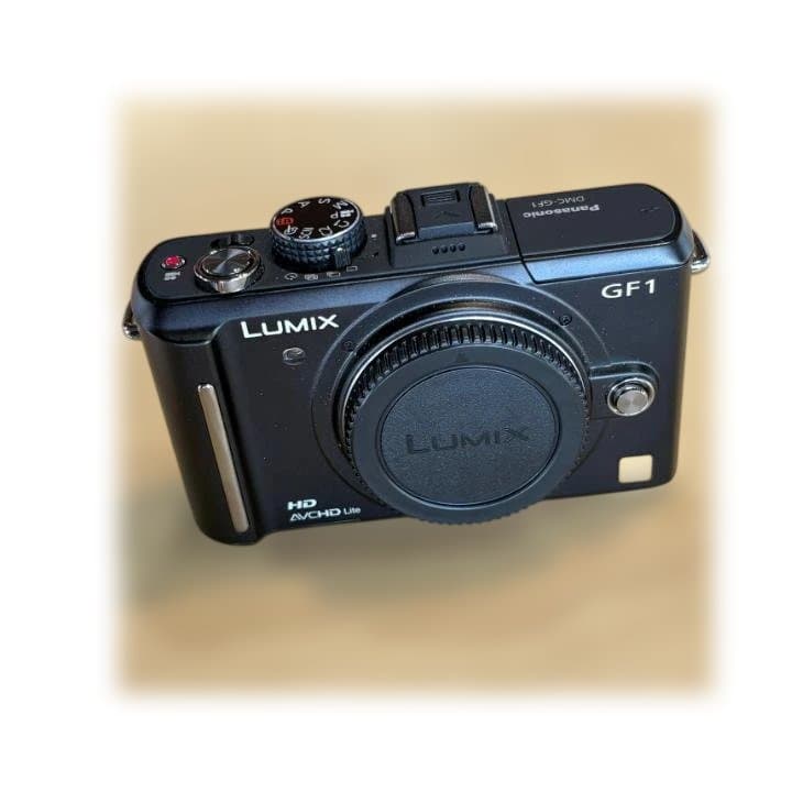 【美品】Panasonic LUMIX DMC-GF1 ブラック