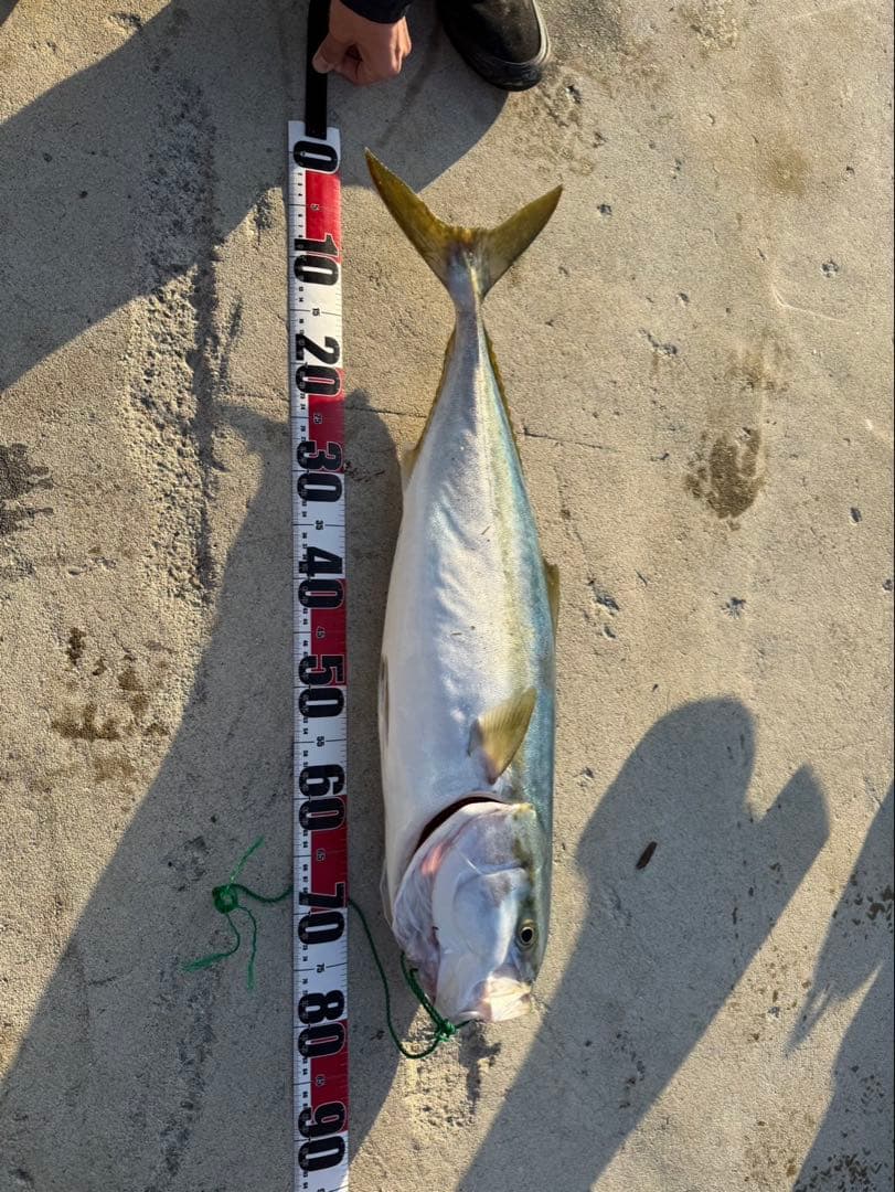 ジャックアイ　マキマキ　マキノミー　18個