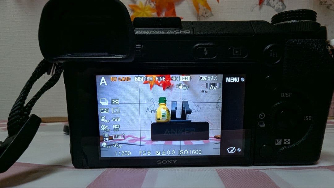 ソニーnex 6 ピンクの猫。