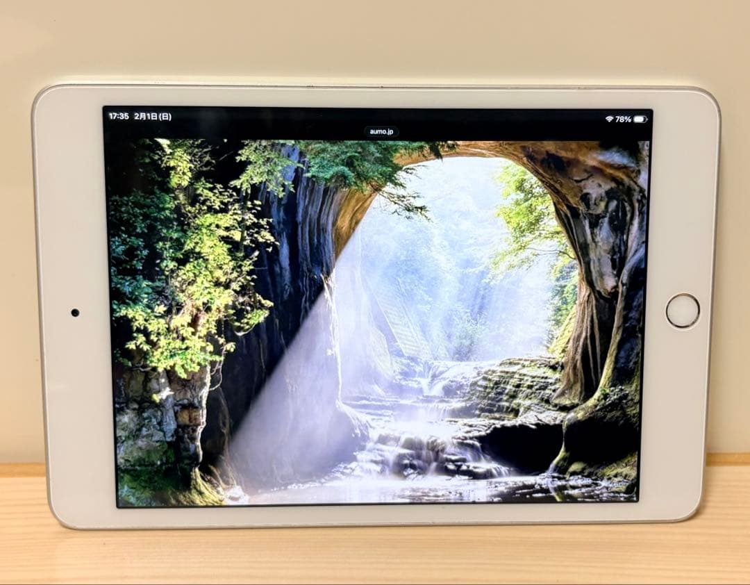 iPad mini 5 (第5世代) 64g 美品