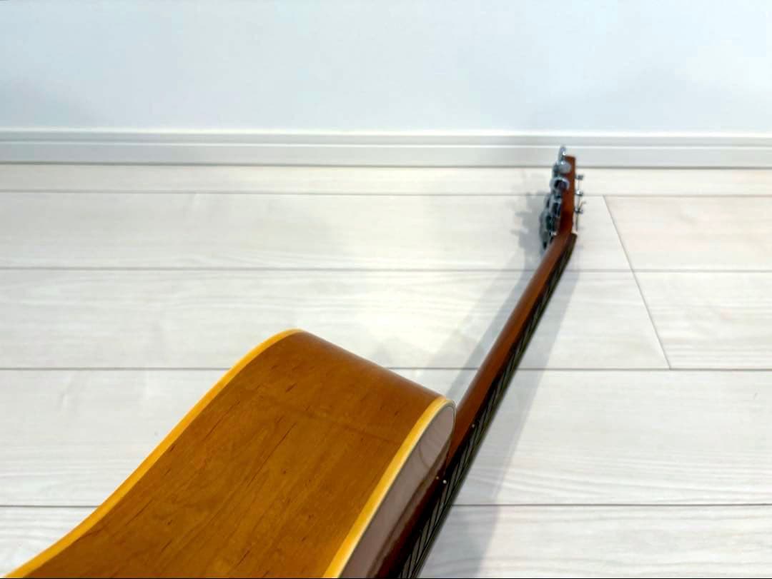 roje メイプル　ハミングバード　アコースティックギター　アコギ