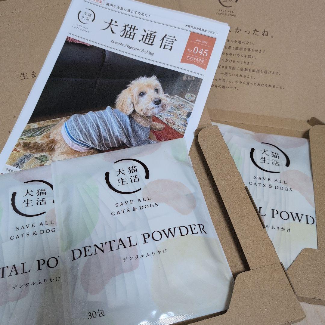 DENTAL POWDER 30包入り×4