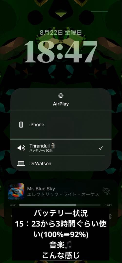 スピーカー・ウーファー Bang&Olufsen Beosound A1 2nd generation